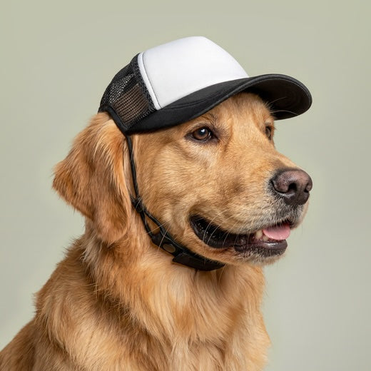 HUMAN Trucker Hat for Dogs
